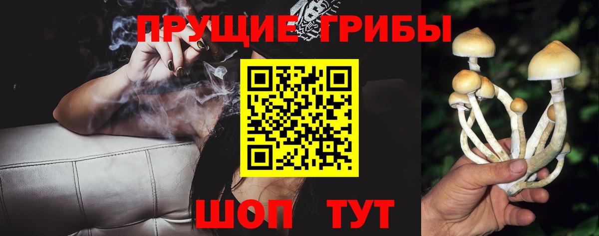 Великий Новгород  купить наркоту  Вход с VPN  Галлюциногенные грибы прущие грибы 